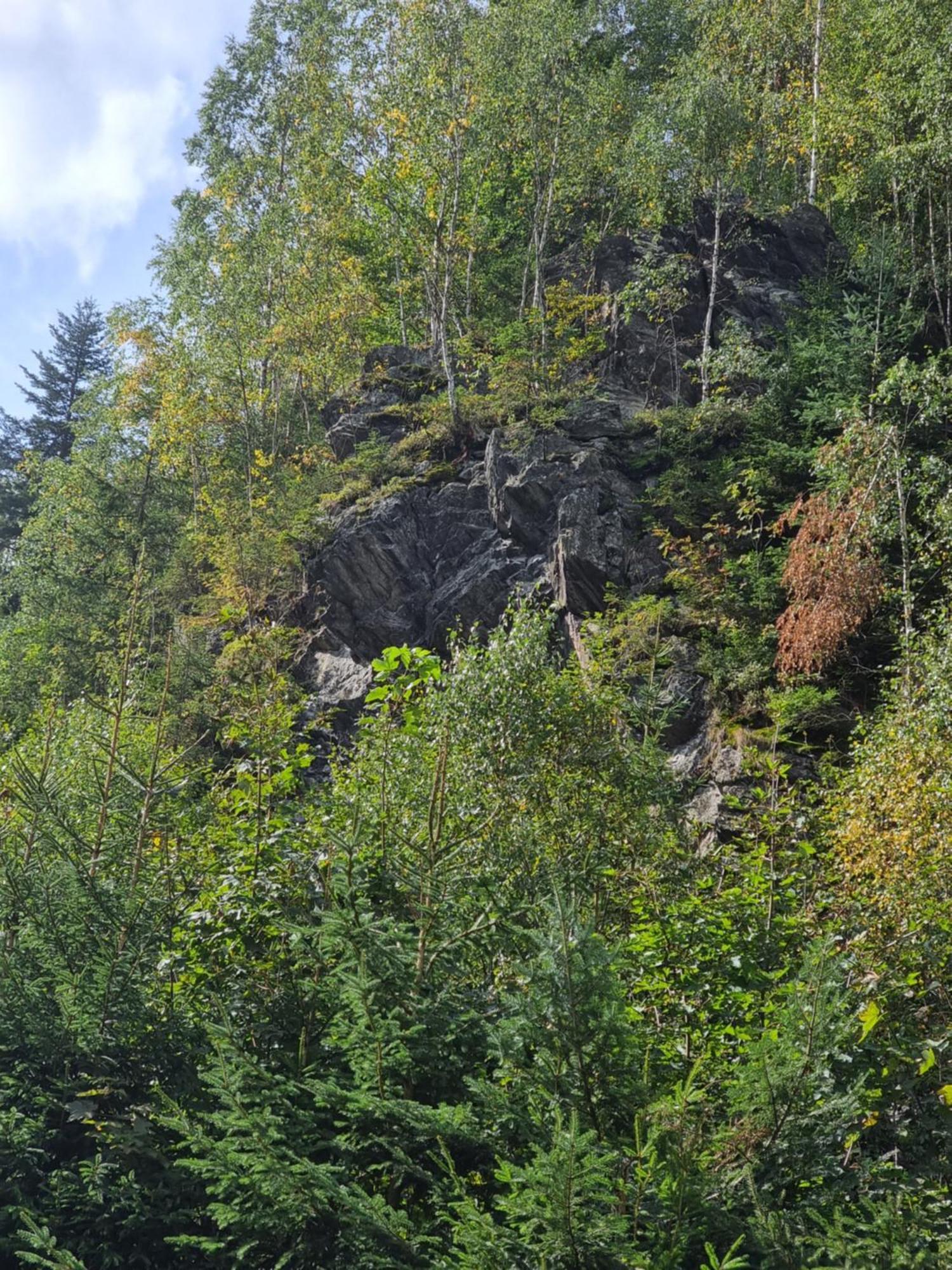 Roubenka Mlyn U Skaly Destne V Orlickych Horach Volne Terminy 5 Bytu Buitenkant foto