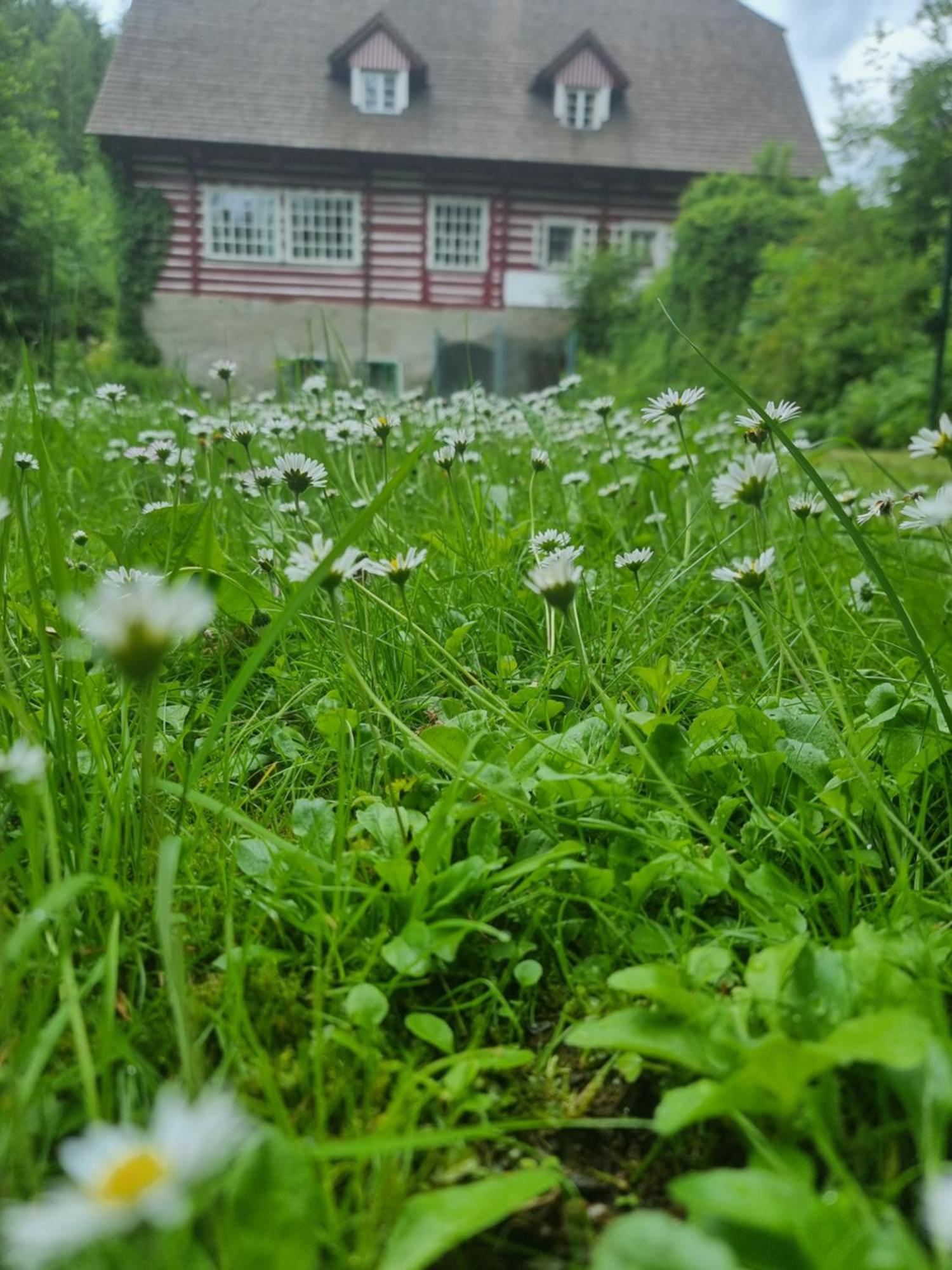Roubenka Mlyn U Skaly Destne V Orlickych Horach Volne Terminy 5 Bytu Buitenkant foto