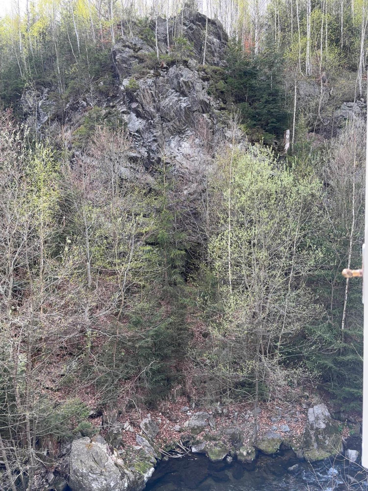 Roubenka Mlyn U Skaly Destne V Orlickych Horach Volne Terminy 5 Bytu Buitenkant foto