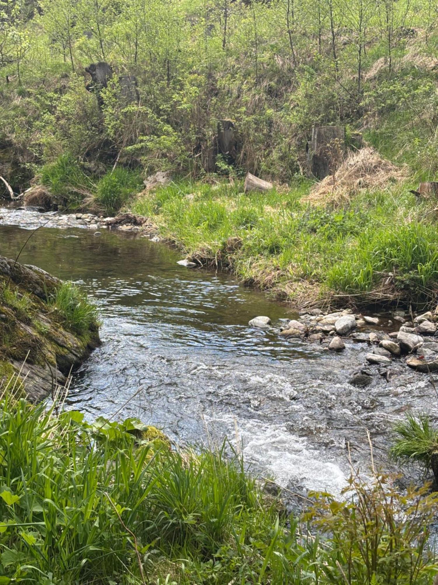 Roubenka Mlyn U Skaly Destne V Orlickych Horach Volne Terminy 5 Bytu Buitenkant foto